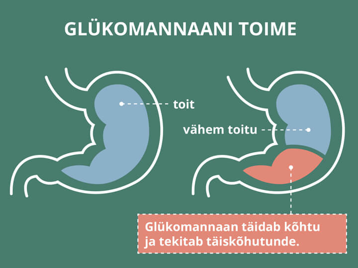 Natural Pharmaceuticals ReduXin Forte Joonis selgitab glükomannaani mõju, näidates, kuidas see täidab kõhtu ja vähendab toidukogust täiskõhutunde tekitamiseks.